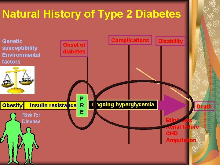 Natural History of Type 2 Diabetes Genetic susceptibility Environmental factors Onset of diabetes Complications