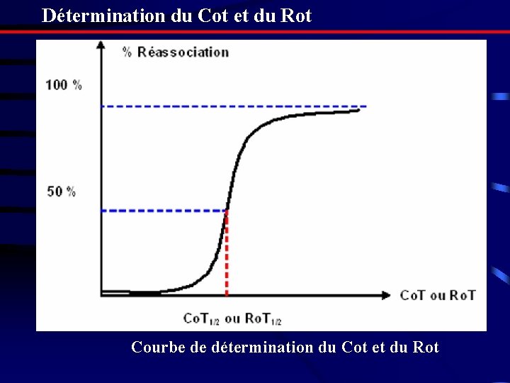 Détermination du Cot et du Rot Courbe de détermination du Cot et du Rot