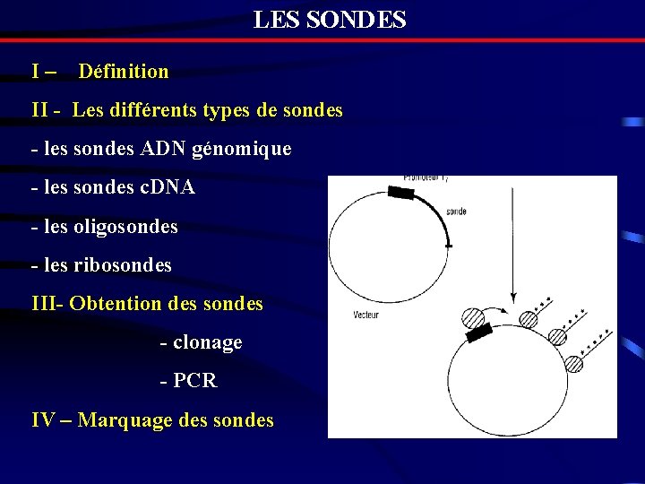 LES SONDES I– Définition II - Les différents types de sondes - les sondes