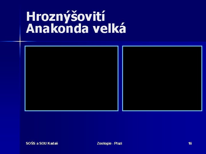 Hroznýšovití Anakonda velká SOŠS a SOU Kadaň Zoologie - Plazi 16 