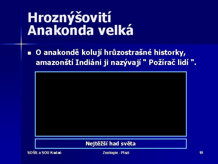 Hroznýšovití Anakonda velká n O anakondě kolují hrůzostrašné historky, amazonští Indiáni ji nazývají "