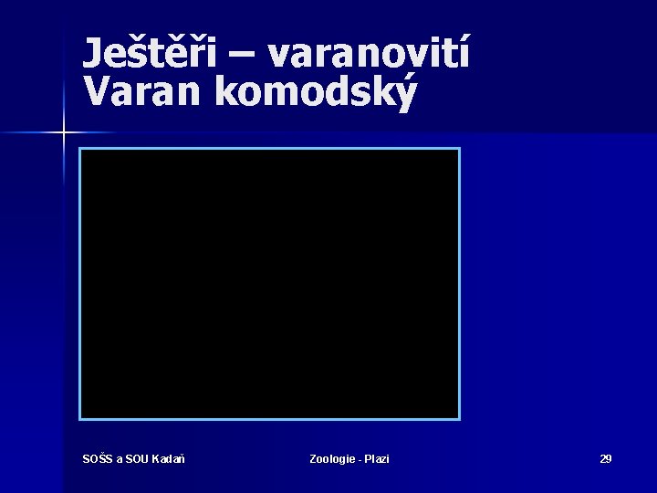 Ještěři – varanovití Varan komodský SOŠS a SOU Kadaň Zoologie - Plazi 29 