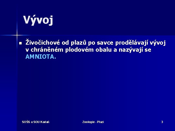 Vývoj n Živočichové od plazů po savce prodělávají vývoj v chráněném plodovém obalu a