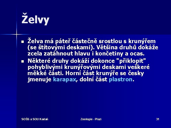 Želvy n n Želva má páteř částečně srostlou s krunýřem (se štítovými deskami). Většina