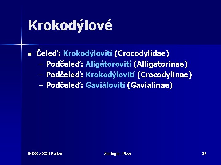 Krokodýlové n Čeleď: Krokodýlovití (Crocodylidae) – Podčeleď: Aligátorovití (Alligatorinae) – Podčeleď: Krokodýlovití (Crocodylinae) –