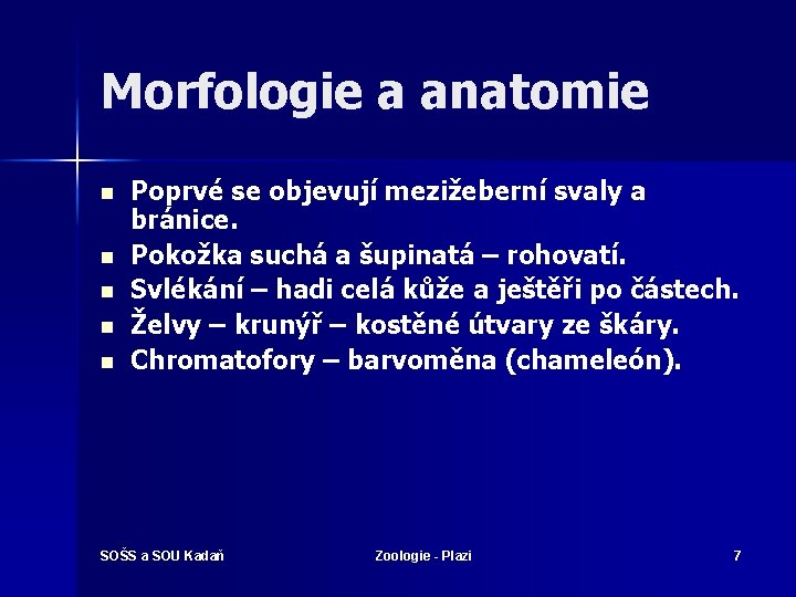 Morfologie a anatomie n n n Poprvé se objevují mezižeberní svaly a bránice. Pokožka