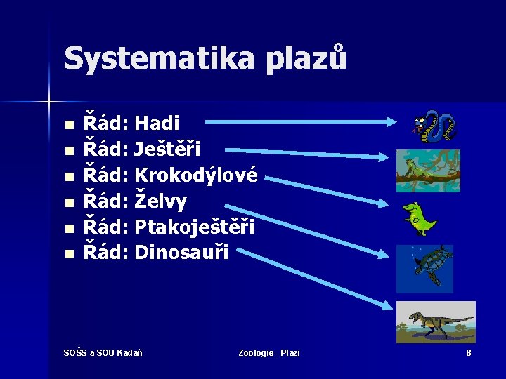 Systematika plazů n n n Řád: Hadi Řád: Ještěři Řád: Krokodýlové Řád: Želvy Řád: