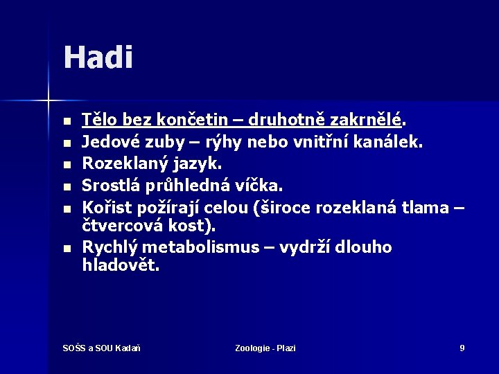 Hadi n n n Tělo bez končetin – druhotně zakrnělé. Jedové zuby – rýhy