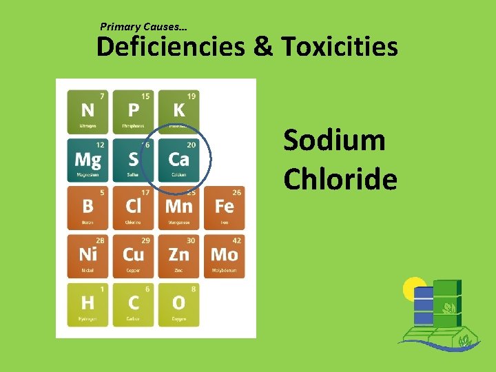 Primary Causes… Deficiencies & Toxicities Sodium Chloride 