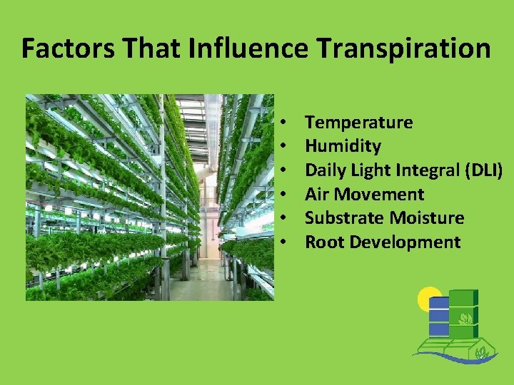 Factors That Influence Transpiration • • • Temperature Humidity Daily Light Integral (DLI) Air