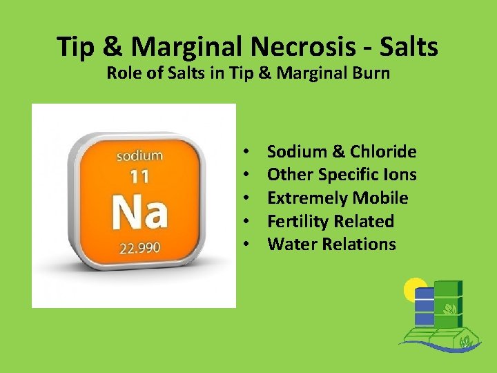 Tip & Marginal Necrosis - Salts Role of Salts in Tip & Marginal Burn