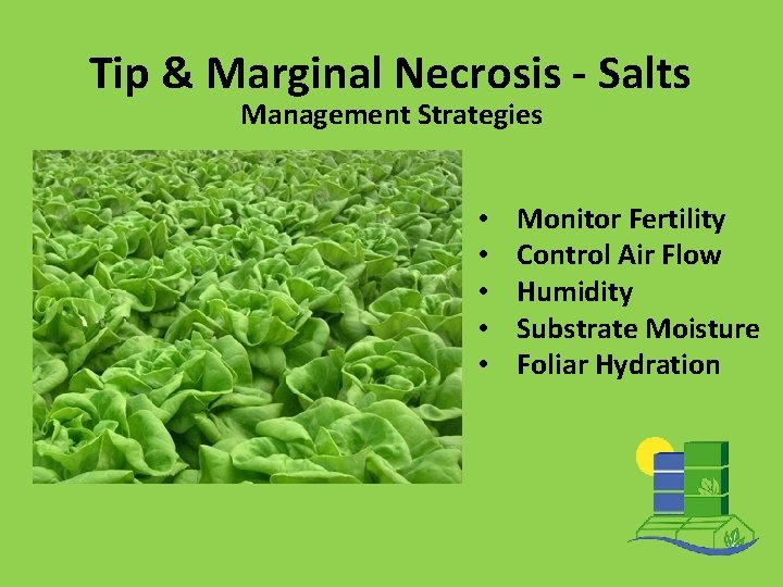 Tip & Marginal Necrosis - Salts Management Strategies • • • Monitor Fertility Control