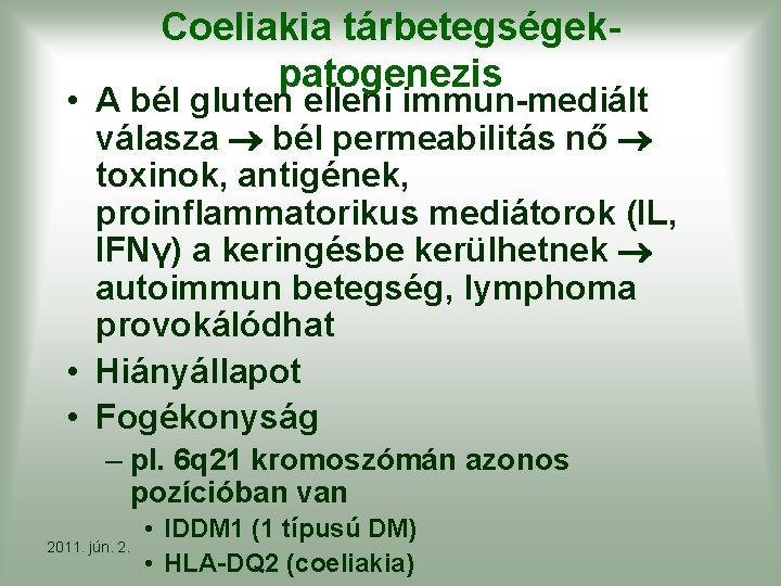 Coeliakia tárbetegségek- patogenezis • A bél gluten elleni immun-mediált válasza bél permeabilitás nő toxinok,