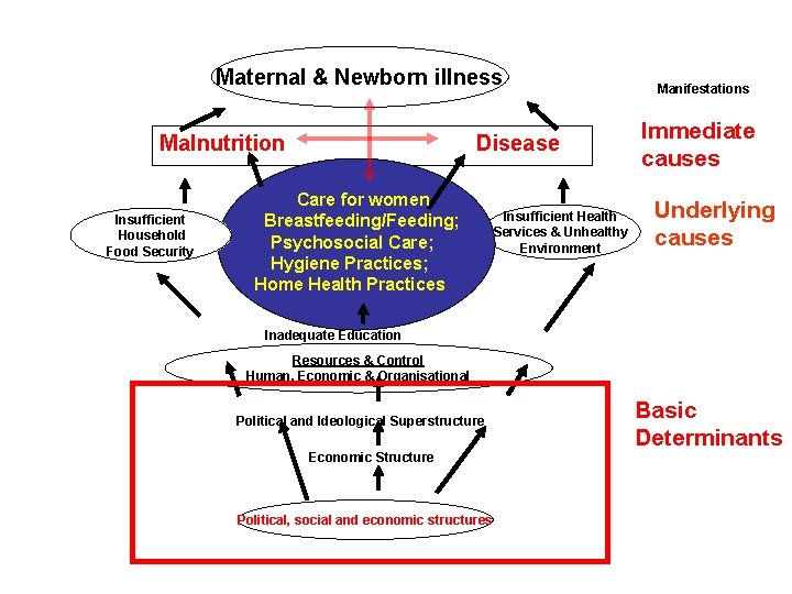 Maternal & Newborn illness Malnutrition Insufficient Household Food Security Disease Care for women Breastfeeding/Feeding;