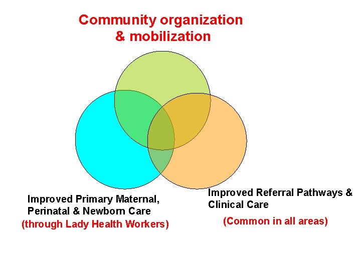 Community organization & mobilization Improved Primary Maternal, Perinatal & Newborn Care (through Lady Health