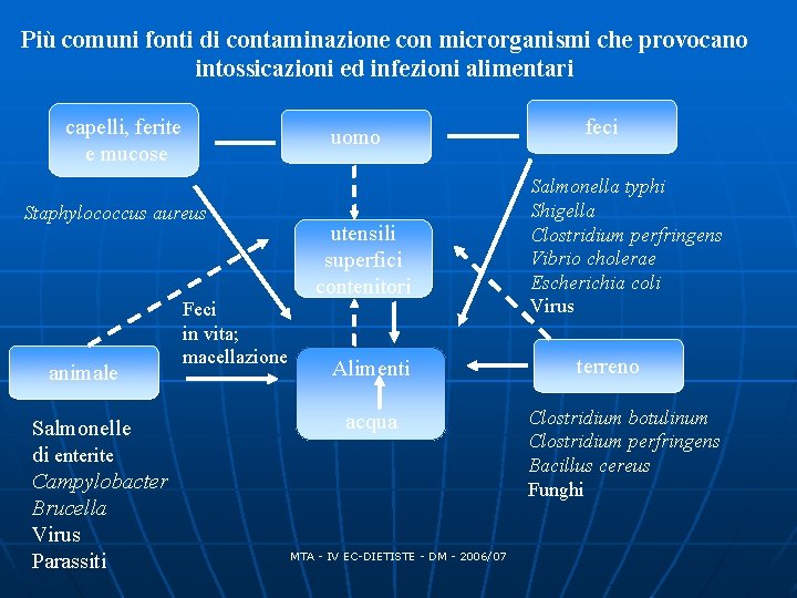 Più comuni fonti di contaminazione con microrganismi che provocano intossicazioni ed infezioni alimentari capelli, Più comuni fonti di contaminazione con microrganismi che provocano intossicazioni ed infezioni alimentari capelli,