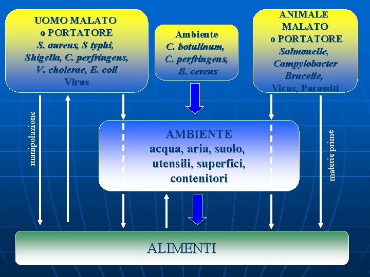 Ambiente C. botulinum, C. perfringens, B. cereus AMBIENTE acqua, aria, suolo, utensili, superfici, contenitori Ambiente C. botulinum, C. perfringens, B. cereus AMBIENTE acqua, aria, suolo, utensili, superfici, contenitori