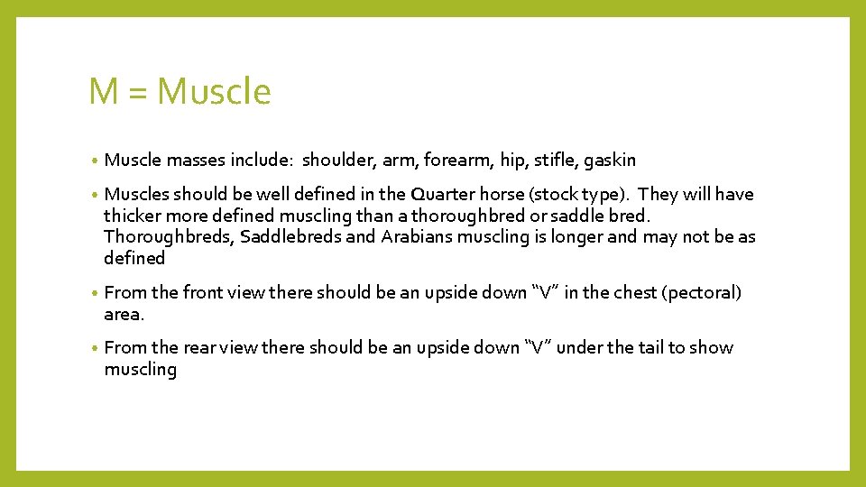 M = Muscle • Muscle masses include: shoulder, arm, forearm, hip, stifle, gaskin •