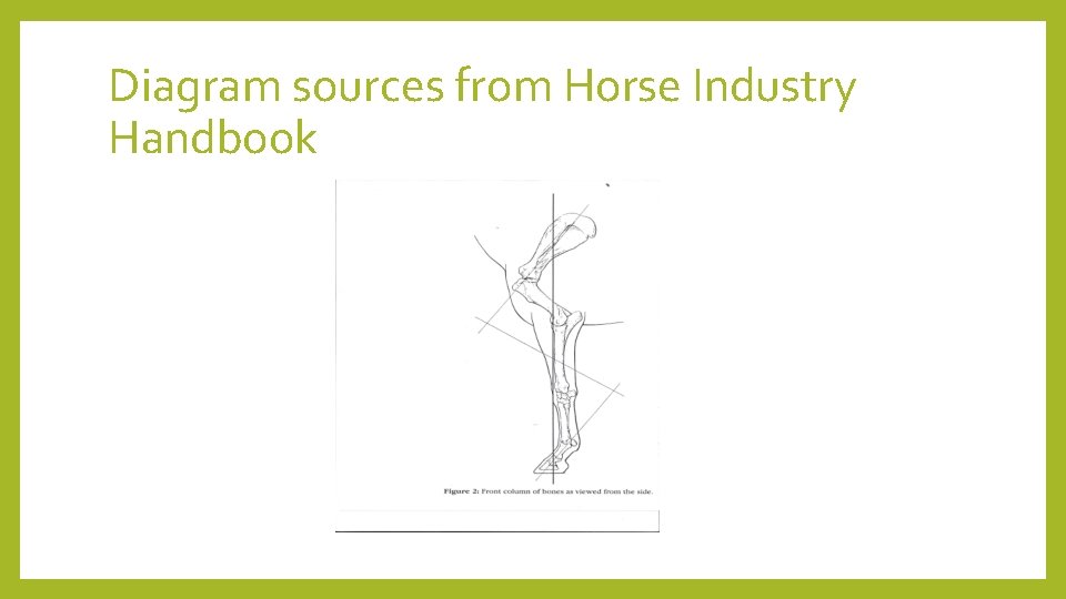 Diagram sources from Horse Industry Handbook 