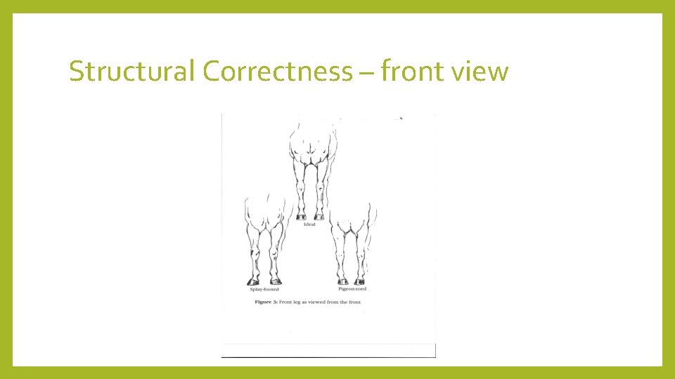 Structural Correctness – front view 