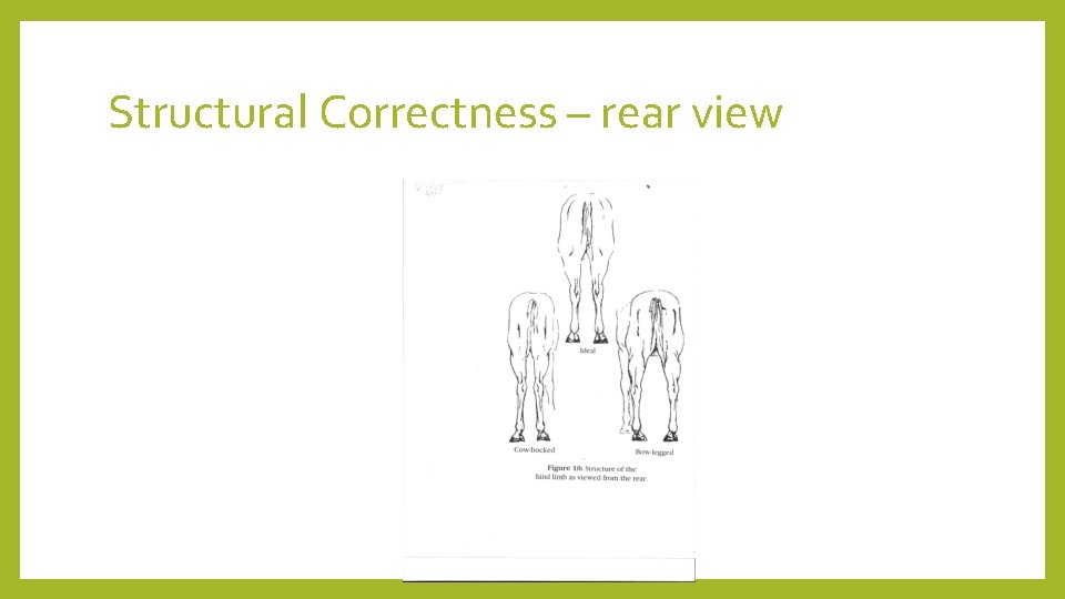 Structural Correctness – rear view 