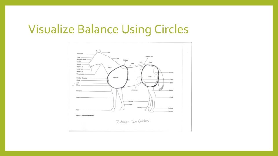 Visualize Balance Using Circles 