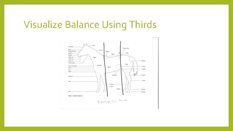 Visualize Balance Using Thirds 