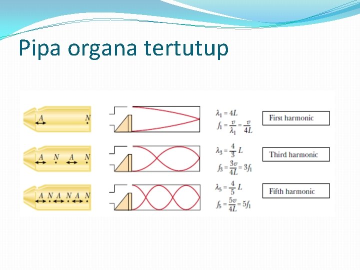 Pipa organa tertutup 