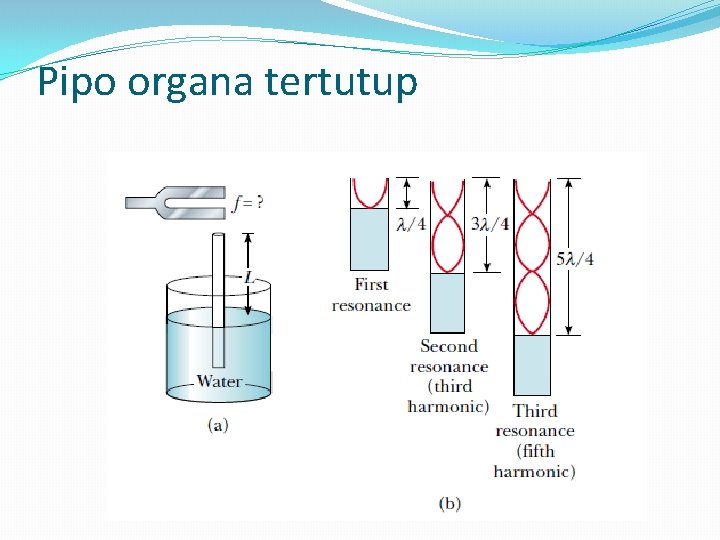 Pipo organa tertutup 