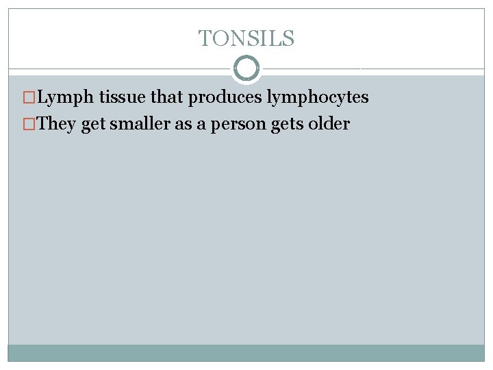 TONSILS �Lymph tissue that produces lymphocytes �They get smaller as a person gets older