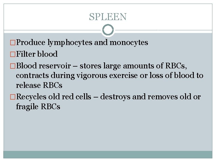 SPLEEN �Produce lymphocytes and monocytes �Filter blood �Blood reservoir – stores large amounts of
