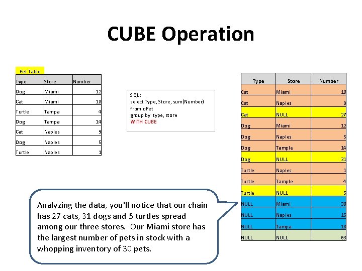 CUBE Operation Pet Table Type Store Number Dog Miami 12 Cat Miami 18 Turtle