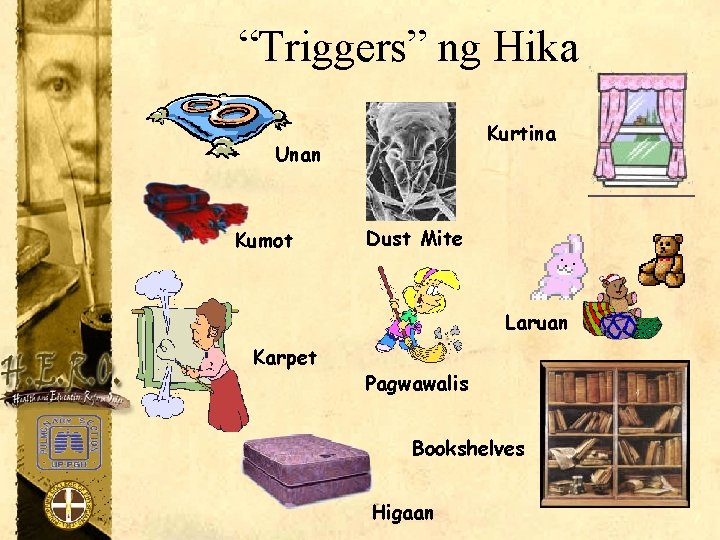 “Triggers” ng Hika Kurtina Unan Kumot Dust Mite Laruan Karpet Pagwawalis Bookshelves Higaan 