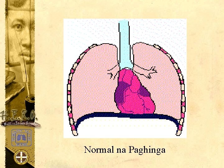 Normal na Paghinga 