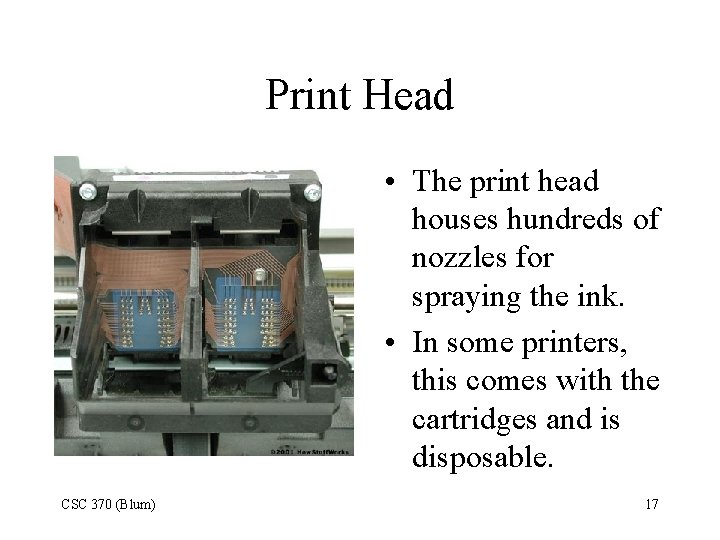 Print Head • The print head houses hundreds of nozzles for spraying the ink.