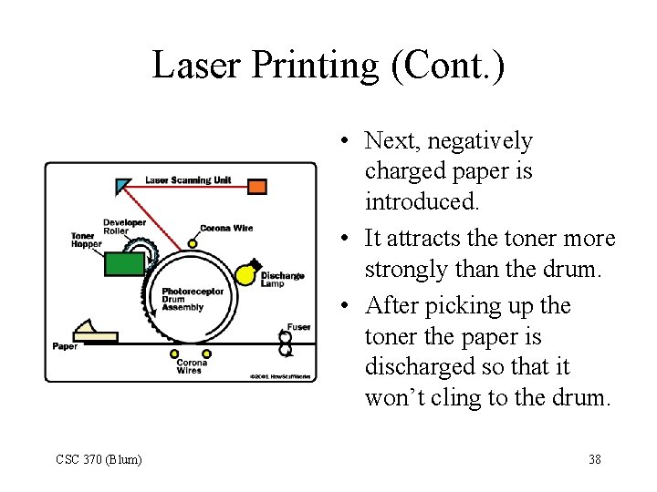 Laser Printing (Cont. ) • Next, negatively charged paper is introduced. • It attracts