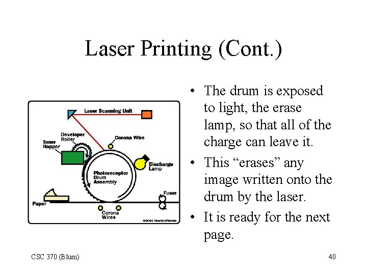 Laser Printing (Cont. ) • The drum is exposed to light, the erase lamp,