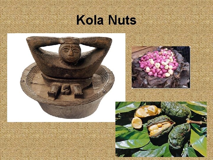 Kola Nuts 