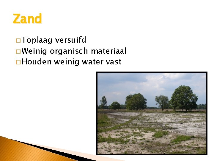 Zand � Toplaag versuifd � Weinig organisch materiaal � Houden weinig water vast 