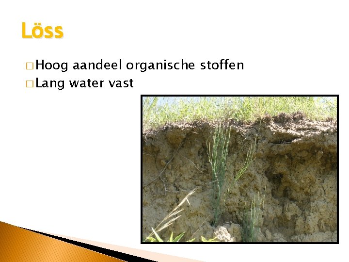 Löss � Hoog aandeel organische stoffen � Lang water vast 