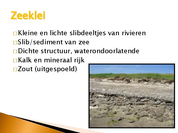 Zeeklei � Kleine en lichte slibdeeltjes van rivieren � Slib/sediment van zee � Dichte