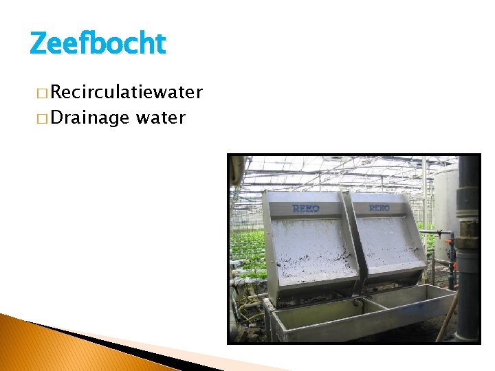Zeefbocht � Recirculatiewater � Drainage water 