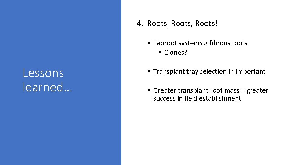 4. Roots, Roots! • Taproot systems > fibrous roots • Clones? Lessons learned… •