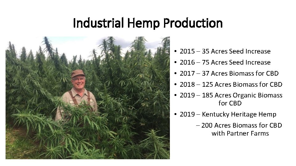 Industrial Hemp Production 2015 – 35 Acres Seed Increase 2016 – 75 Acres Seed