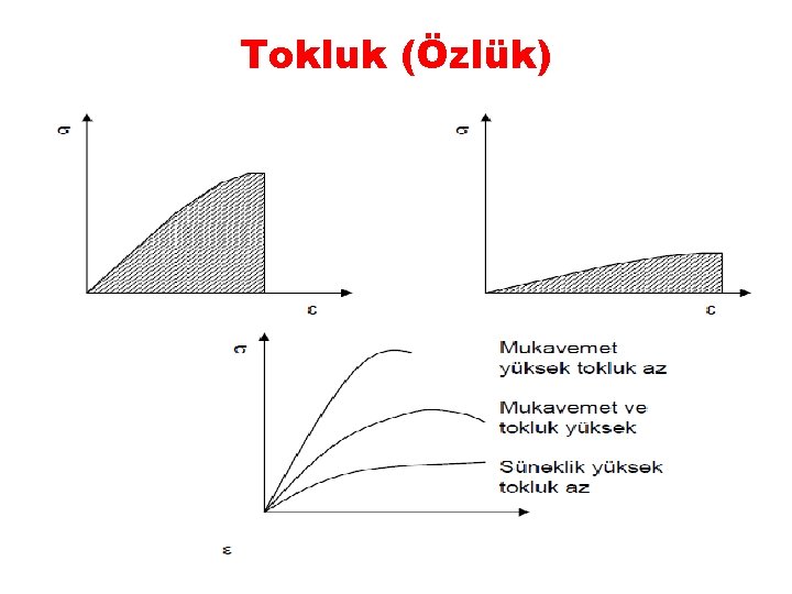 Tokluk (Özlük) 