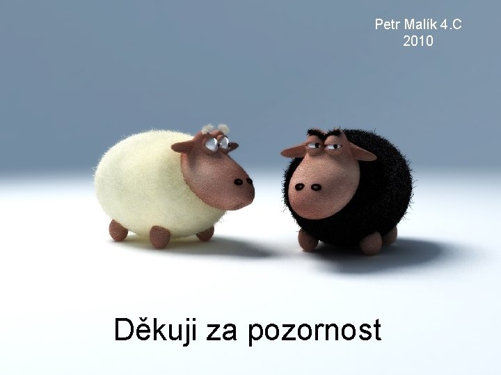 Petr Malík 4. C 2010 Děkuji za pozornost 