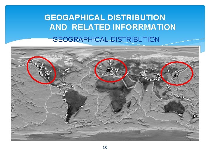 GEOGAPHICAL DISTRIBUTION AND RELATED INFORRMATION GEOGRAPHICAL DISTRIBUTION 10 