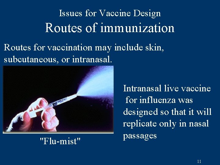 Issues for Vaccine Design Routes of immunization Routes for vaccination may include skin, subcutaneous,