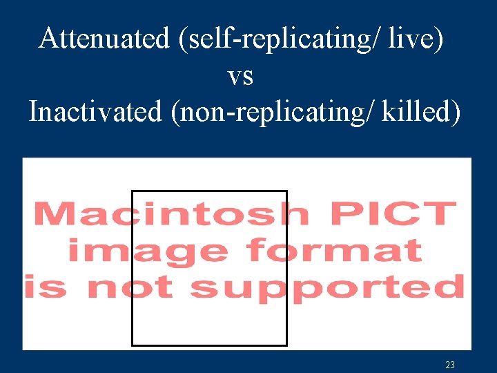 Attenuated (self-replicating/ live) vs Inactivated (non-replicating/ killed) 23 