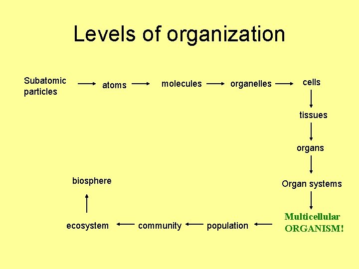 Levels of organization Subatomic particles atoms molecules organelles cells tissues organs biosphere Organ systems